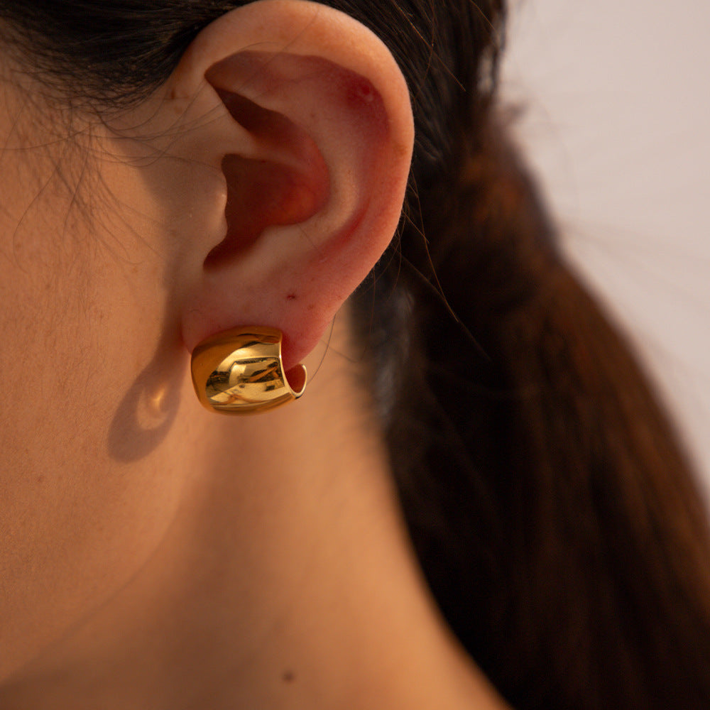 5pcs Fashion Personality Style 18K Gold Stainless Steel Oval Wide Curved Earrings Women's Simple Earrings Jewelry