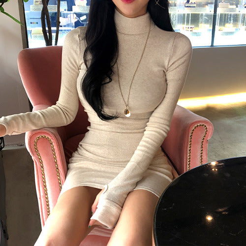 New Elegant Set Finger Sleeves Sexy Turtleneck Bag Hip Thickened Warm Winter Bottom Dress