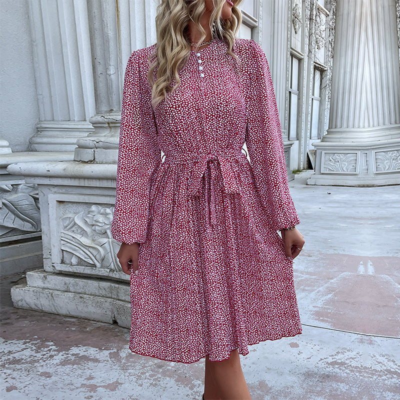New Fashion Autumn On New Women's Long-Sleeved Dresses