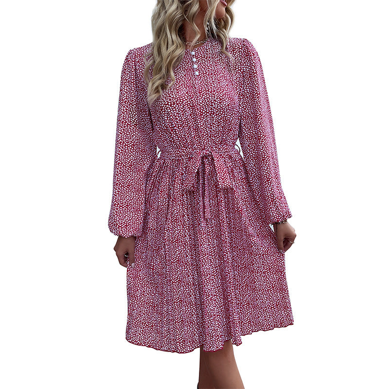 New Fashion Autumn On New Women's Long-Sleeved Dresses