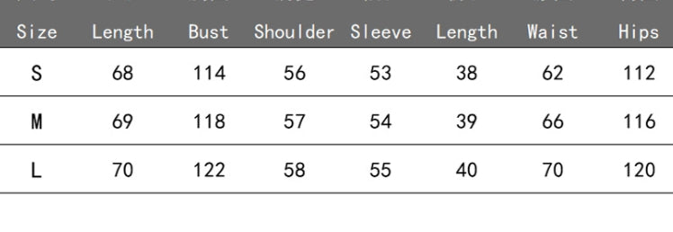 Summer Women's Shirt Jacquard Bubble Sleeve Temperament Top Shorts Commuter Design Sense Of Leisure Suit