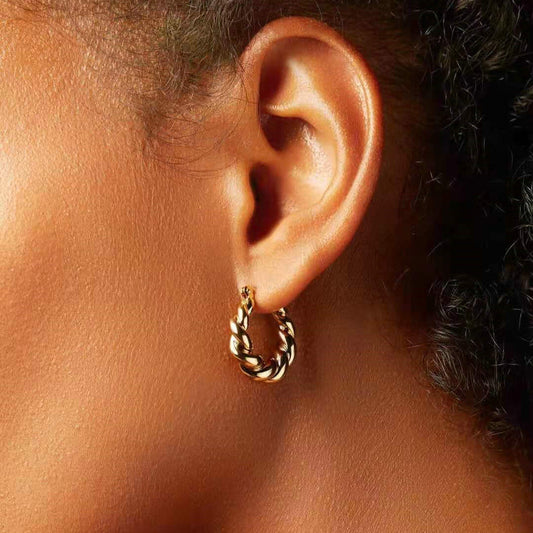 5pcs Charlotte Twisted Pair Fashion Women's Earrings 18K Gold Plated Stainless Steel Crude Croissant Earrings