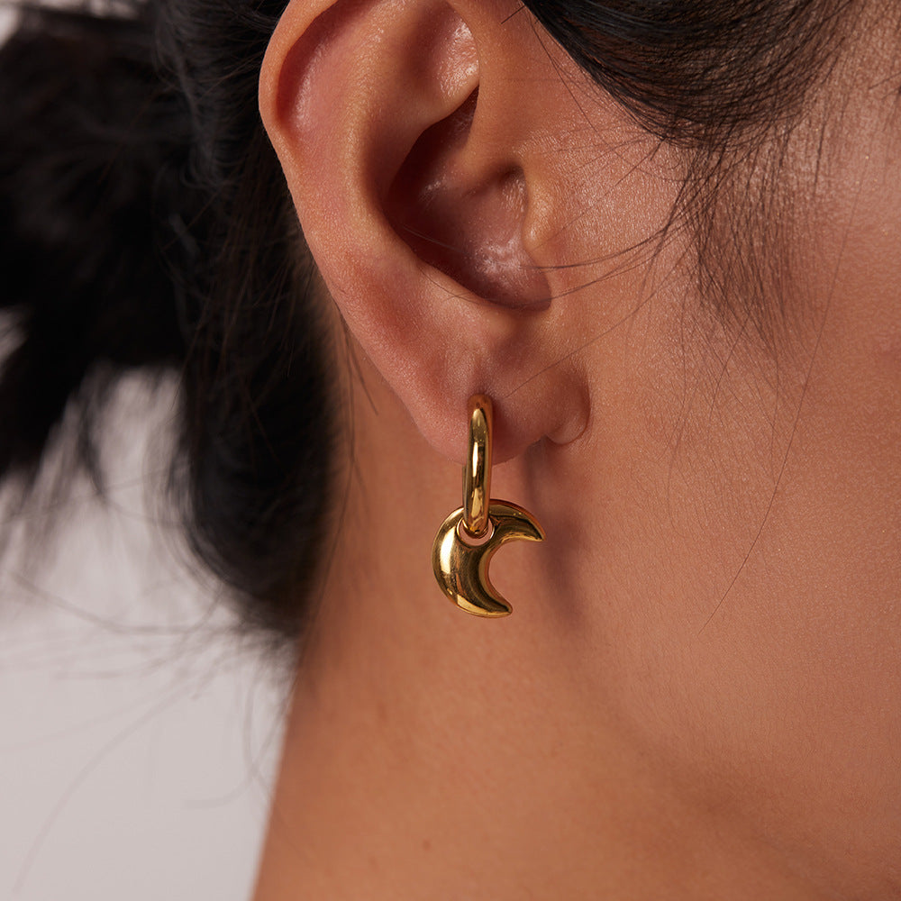 5pcs New Fashion Titanium Steel Geometric Pendant Earrings 14K Gold Stainless Steel Moon Hoop Pendant Earrings For Women