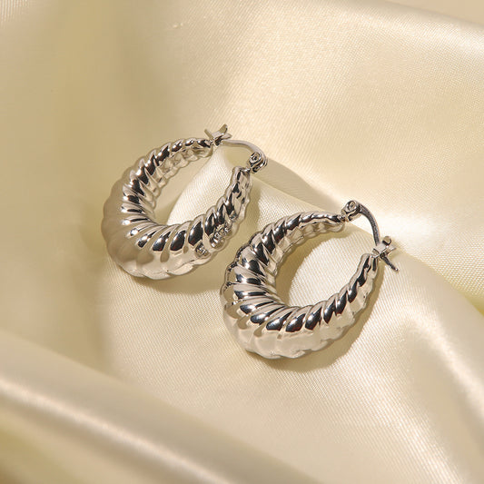 5pcs Exaggerated Earrings For Women Style Niche Designer Earrings Earrings Titanium Steel Light Luxury Senior Ear Buckle