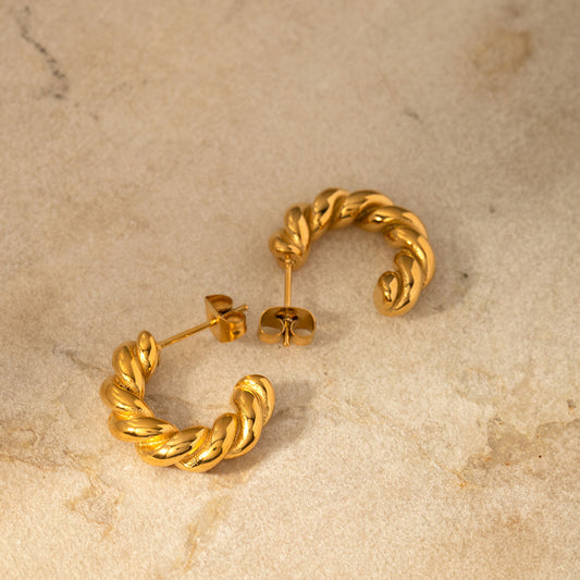 5pcs Women's Twist Spiral Spiral Hoop Earrings 18K Gold Plated Stainless Steel Earrings In Gold