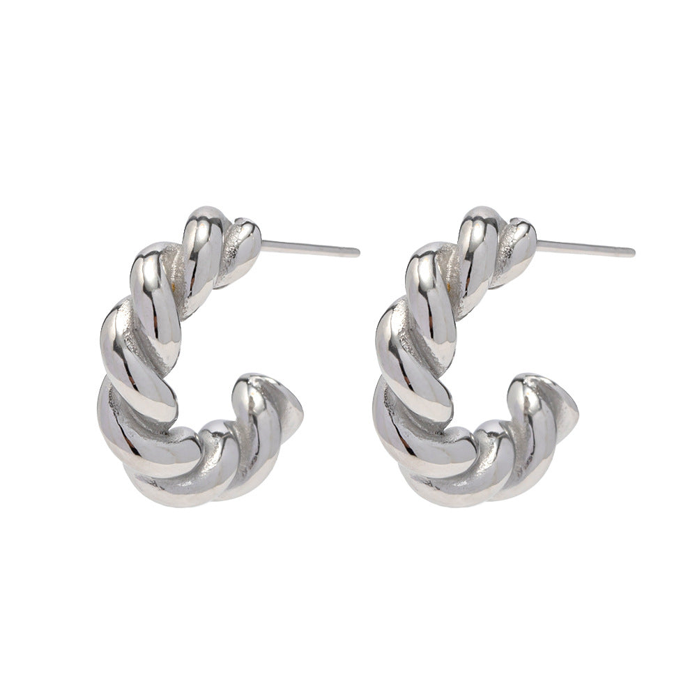 5pcs Steel Color Women's Twist Spiral Spiral Hoop Earrings Stainless Steel Earrings