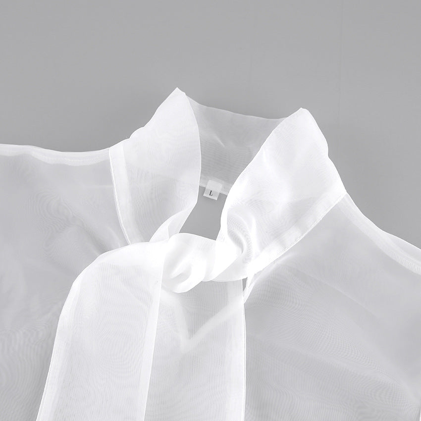 Spring Sexy See-Through Mesh Long Sleeve Top To Wear A Senior Sense Of Bubble Sleeve Pullover Base