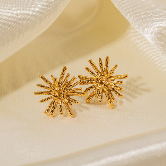 5pcs Accessories 18K Gold Stainless Steel Radial Earrings Temperament Fashion Earrings